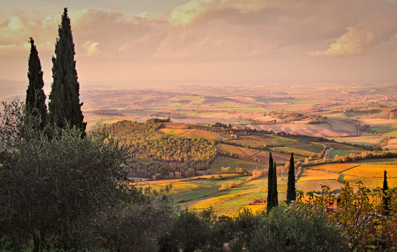 TTT27F - Wine Tour Montepulciano and Pienza from Florence